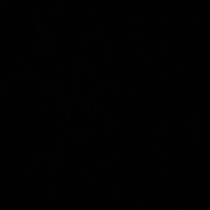 Meet your Posher, Domenic